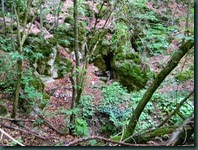 DSCN0644