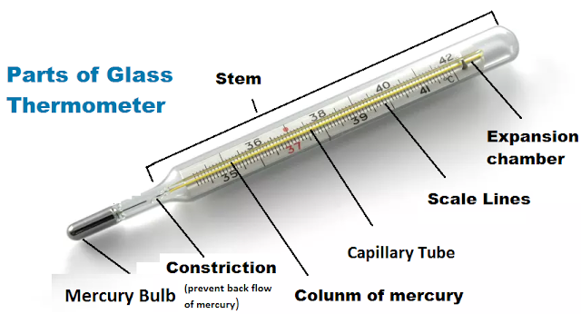 Parts of Clinical Thermometer