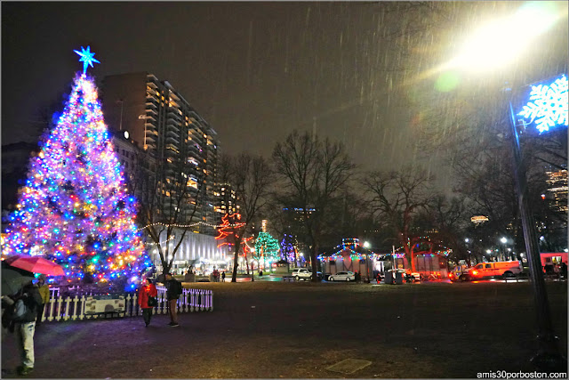 Árbol Oficial de Navidad de Boston en el Common Park