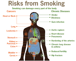 Risk from Smoking 