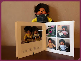 kiki monchhichi tribu hanaé