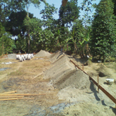 View album