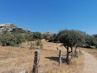 Sardinia Arzachena Tempio Nuragico Malchittu