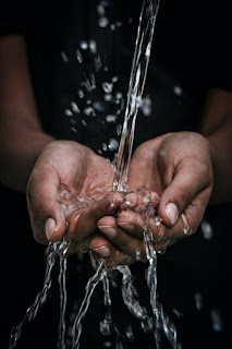 Drinking Water from Various Sources