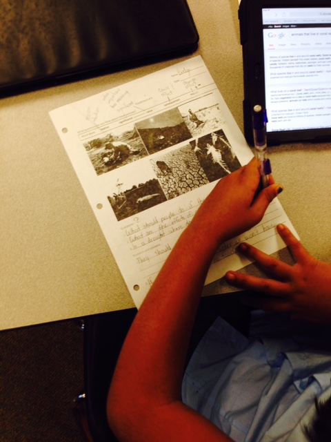 Students now pose questions about the photo and research to find answers.