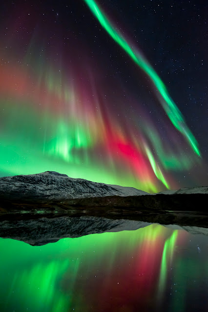 Aurora over Høgtuva Mountain