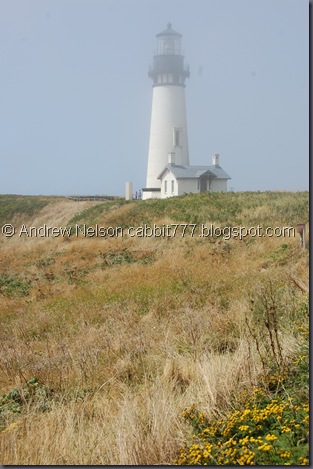 DSC_0795 DSC_0795