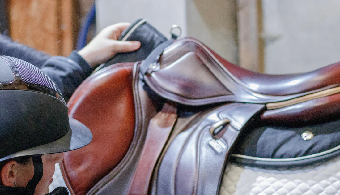 The Best Horse Training Equipment You Can Get Online