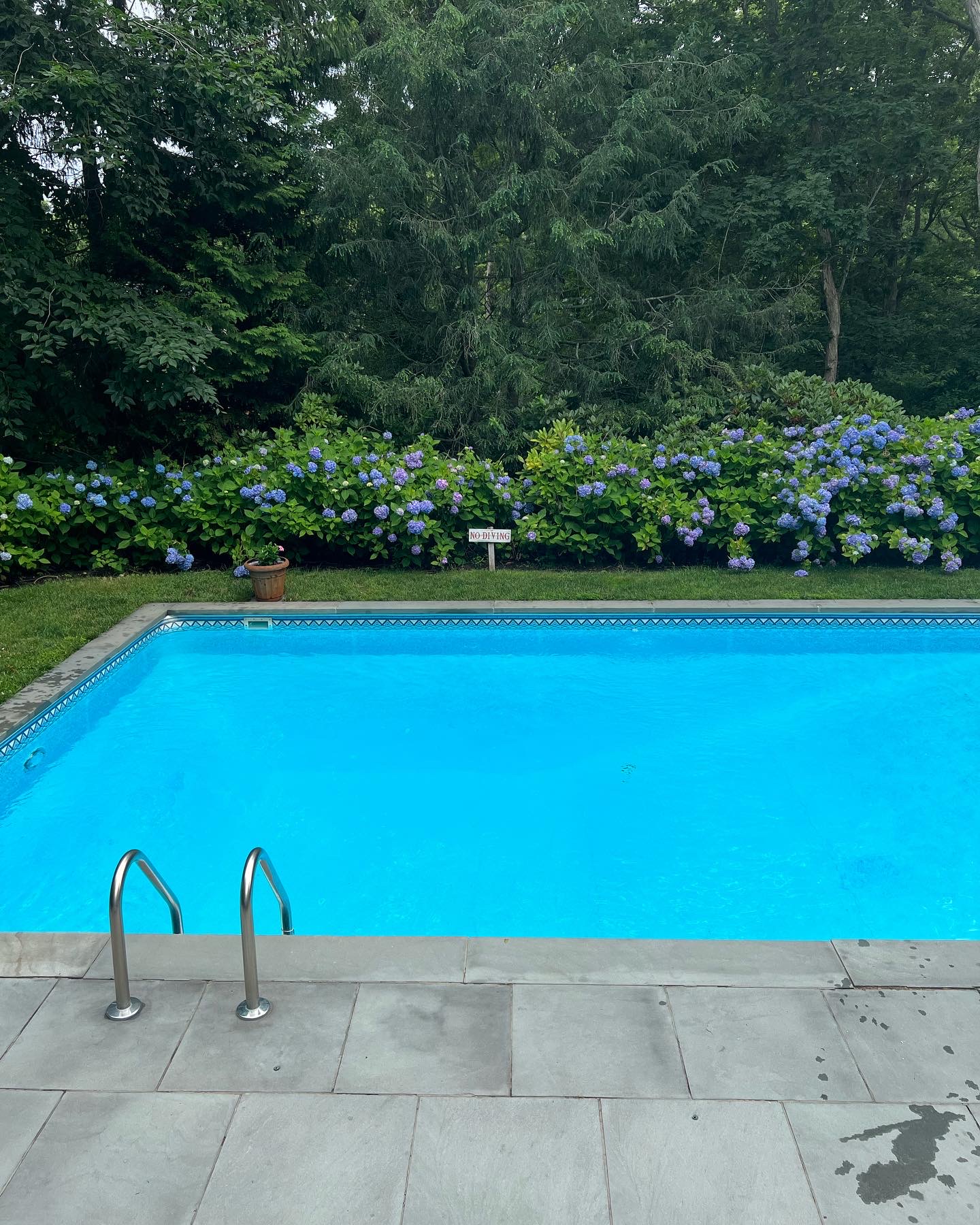 east hampton, long island, travel to the hamptons, east hampton, montauk, pool, hydrangeas