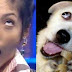 Funny dog and Funny man