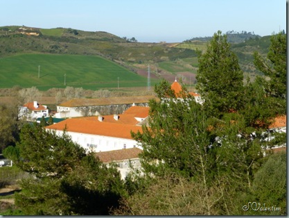 P1000083