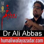 https://www.humaliwalyazadar.com/2018/09/dr-ali-abbas-nohay-2019.html