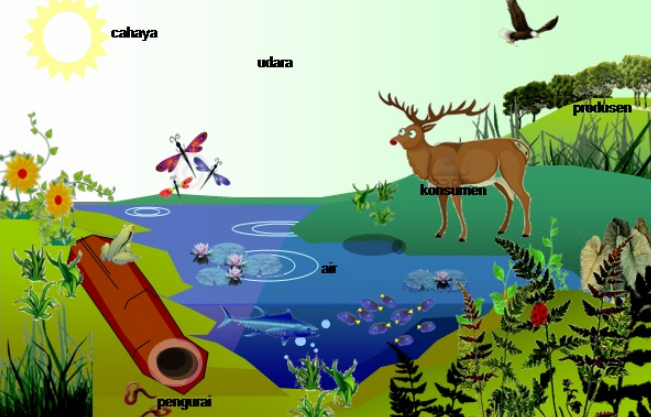 Contoh Makalah Ekosistem Biologi - Miharu Hime