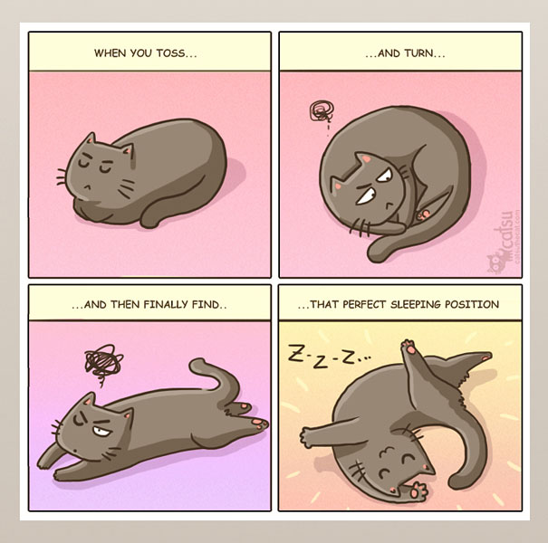 15+ Comics That Purrfectly Capture Life With Cats