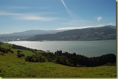 Dunedin Sound 1
