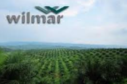 LOWONGAN KERJA ORGANIZATION DEVELOPMENT STAFF WILMAR GROUP INDONESIA