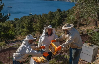 Λέρος: Ασχολήσου με τις μέλισσες και βρες την ψυχική σου γαληνή