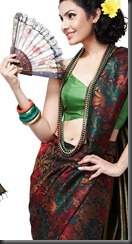 divya parameshwaran hot_in_saree