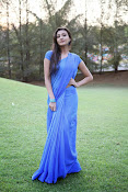 Neelam Upadhyay Hot pics in Blue saree-thumbnail-15