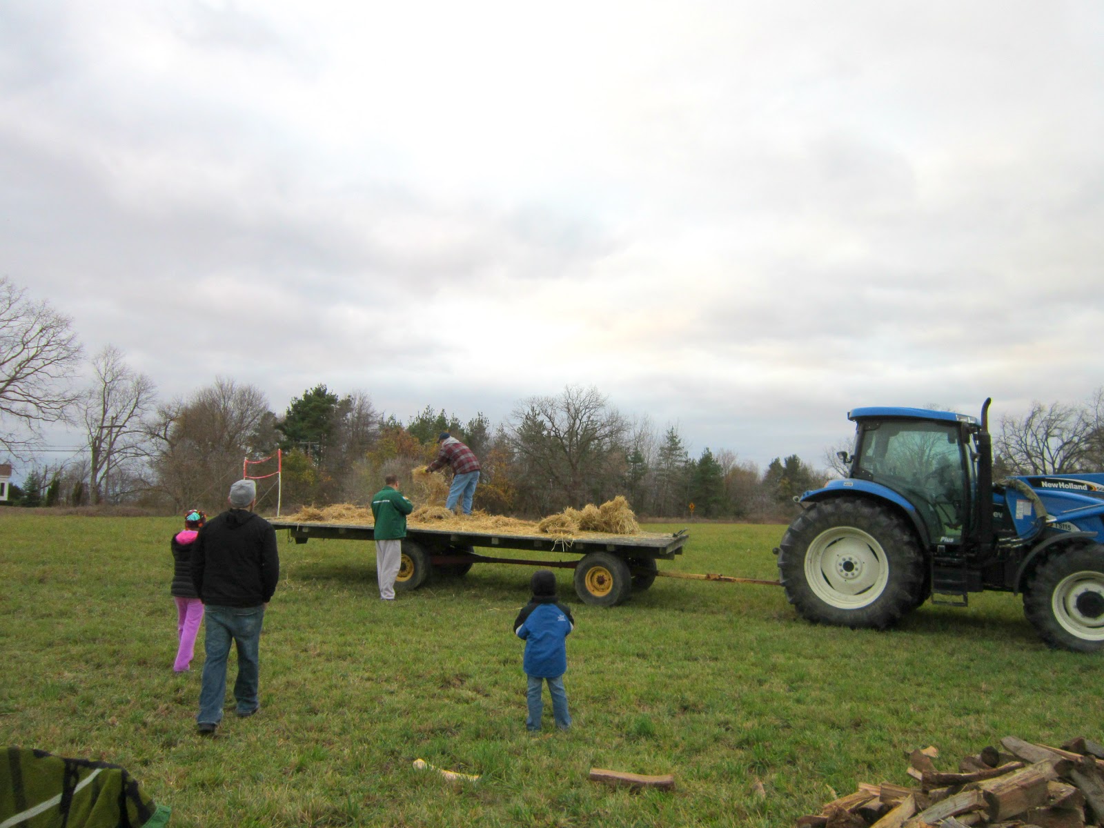 opted to stay by the bonfire instead of going on the hayride. There ...