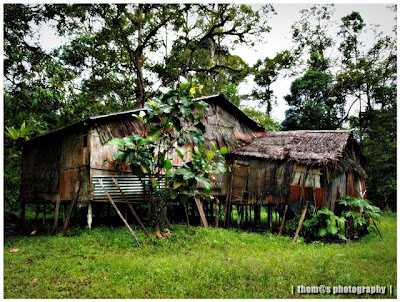 thom s photography Traditional Atap House Sebuluh Kuching