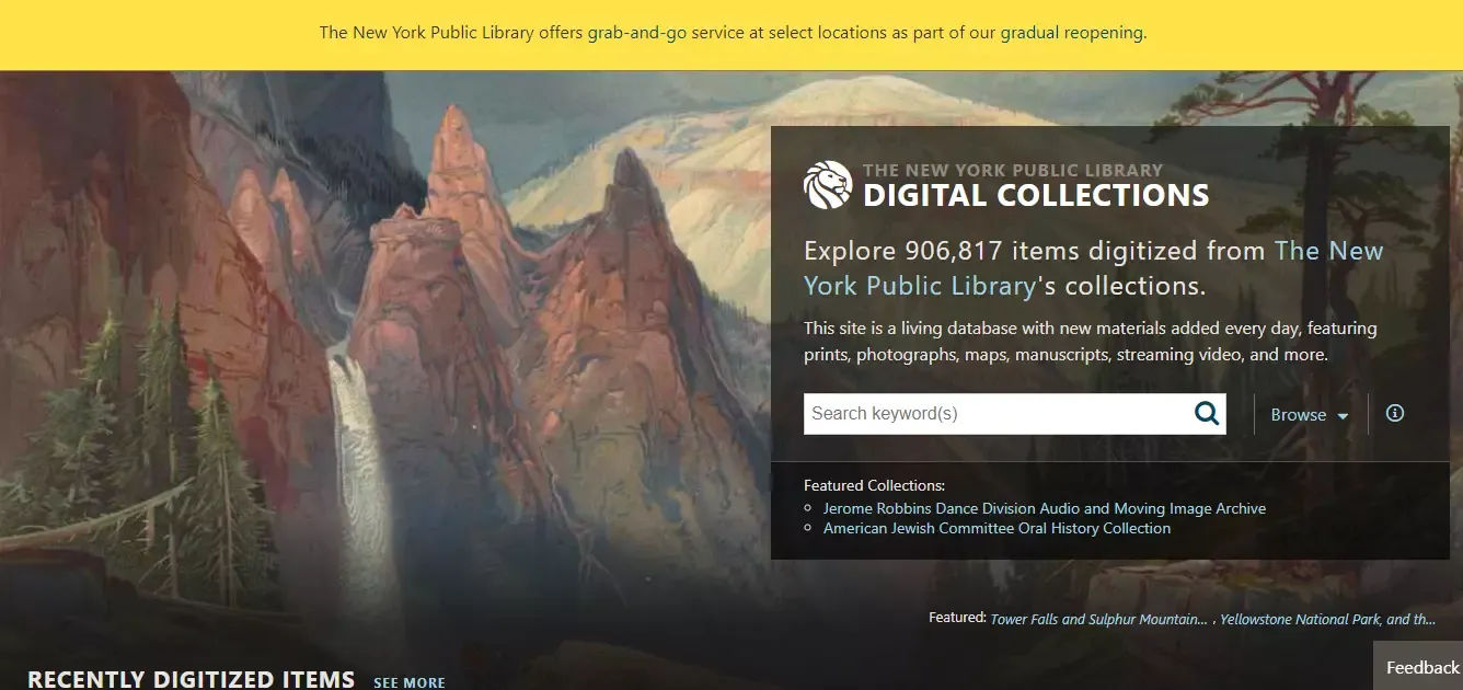 Top 10 Reverse Image Search Engines / Tools, New York Publick Library image search