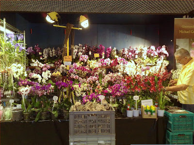 Phalaenopsis and others orchids for sale, group of flowering plants