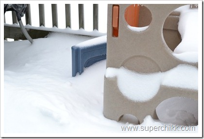 097 Snow Days, February 2011