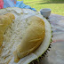 Penang durian season 2017 at Sulinghill已结束了, 期待 Penang durian festival 2018 有更多之 Penang durian champion Ochee blackthorn 产量