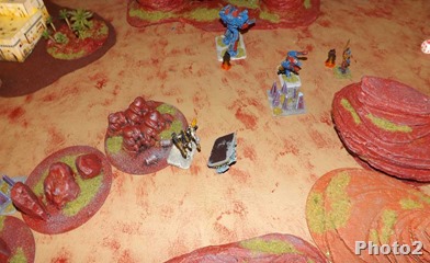 DSCF8004