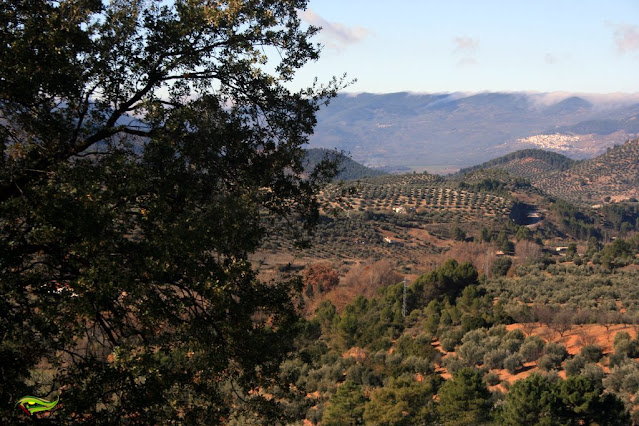 Sendero de La Era del Concejo (PR-A-76)