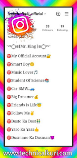 Instagram Long Bio