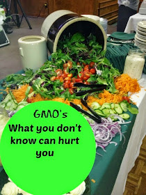 salad greens and vegetables on buffet table - GMO sign