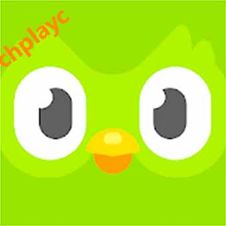 Tải Duolingo Apk phần mềm học tiếng Anh Cho iPhone, Android, PC miễn phí