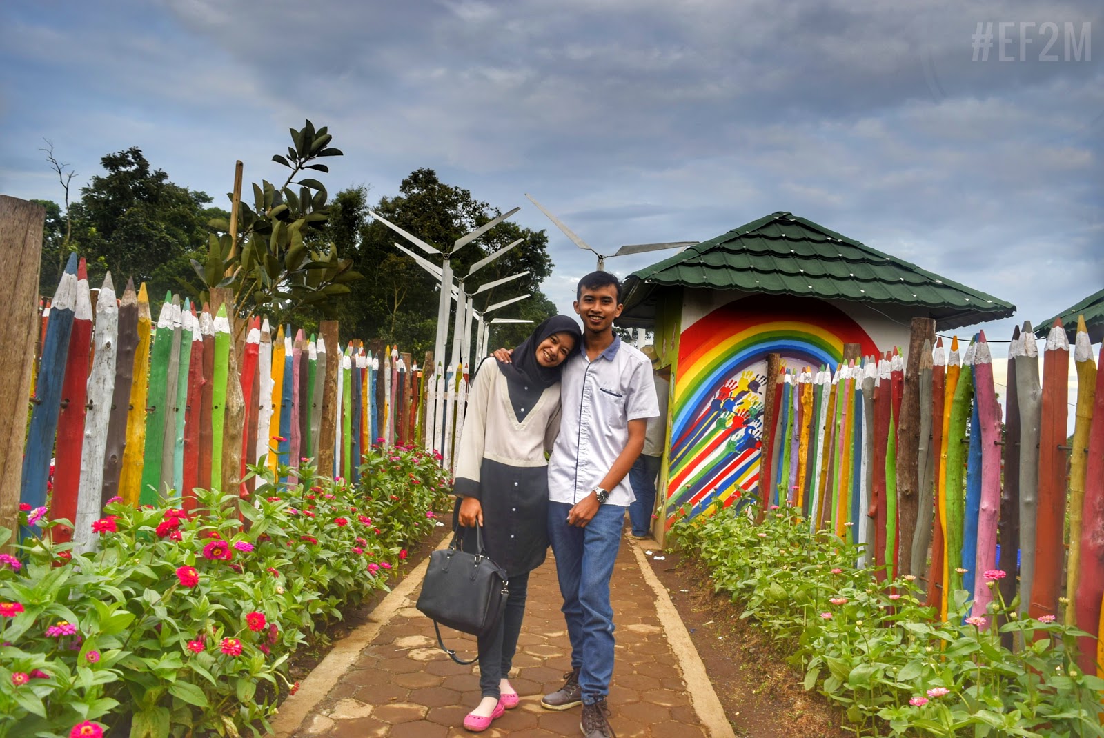 Taman Bunga Celosia Taman Bunga Celosia