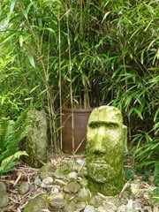 bamboo garden