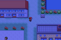 Pokemon Supreme Fire: Mewtwo's Revenge ScreenShot 01