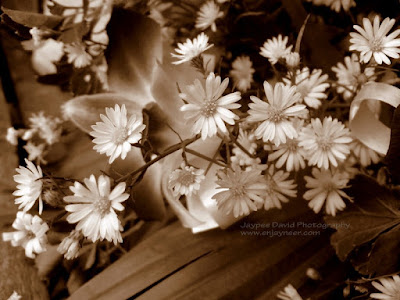 Flower Bouquet, All Saints' Day, Macro Photography, Jaypee David