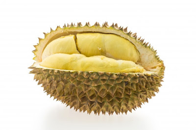  buah durian merupakan buah yang sangat lezat Peluang Bisnis Usaha Sop Durian dengan Analisa Lengkap