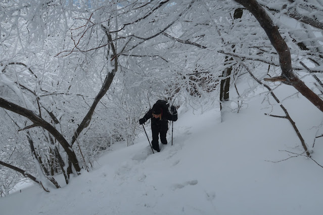 Les, hlboký sneh a turista cestou na Vysoké Skalky.