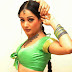 Tamil Hot Heroine Kiran Rathod hot Photos 