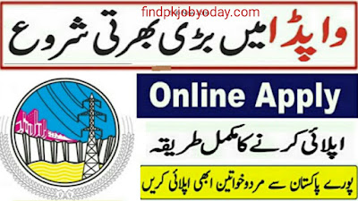 Jobs in WAPDA