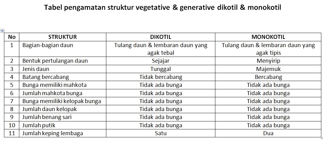 Pembahasan Tumbuhan Dikotil dan Monokotil Maret 2012