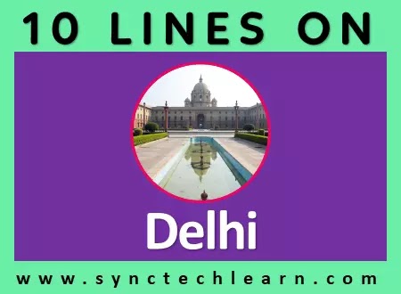 10 lines about Delhi in English