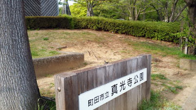 町田市の真光寺公園