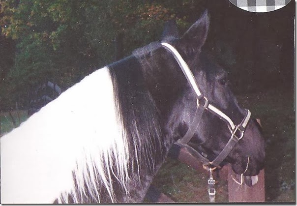 shawnee 2