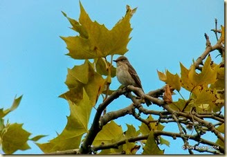 IMG_20140910_125442