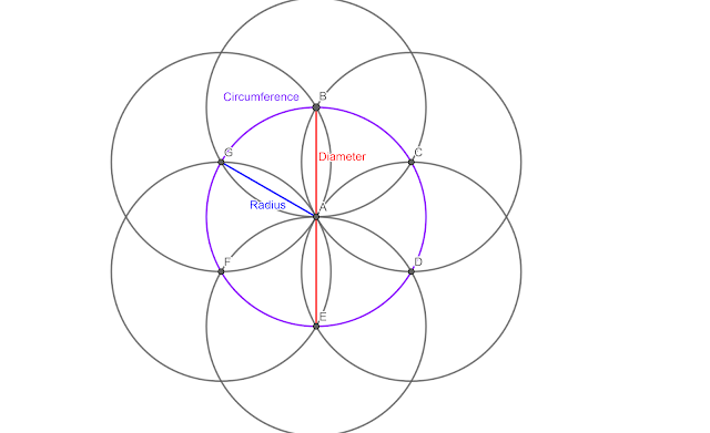 Image showing the diameter, radius, and circumference in the seed of life