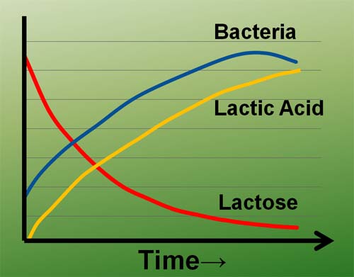 Making Healthy Probiotic Yogurt - Yogurt%20Fermentation%20over%20Time