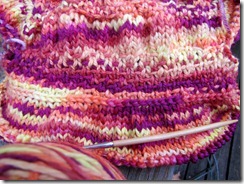 Honeysuckle WIP 002